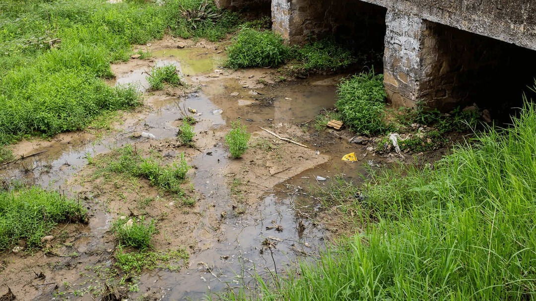 Leia mais sobre o artigo Água potável no Brasil: cerca de 35 milhões de pessoas ainda sem acesso ao recurso essencial