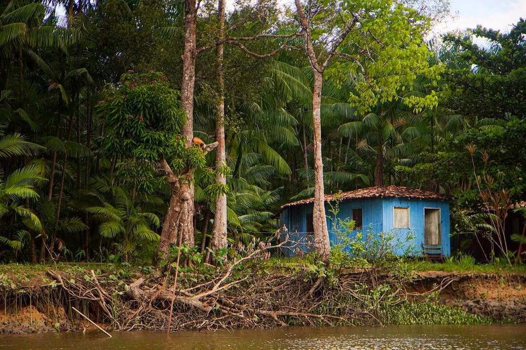 Leia mais sobre o artigo Como o desmatamento na Amazônia afeta a saúde e o bem-estar