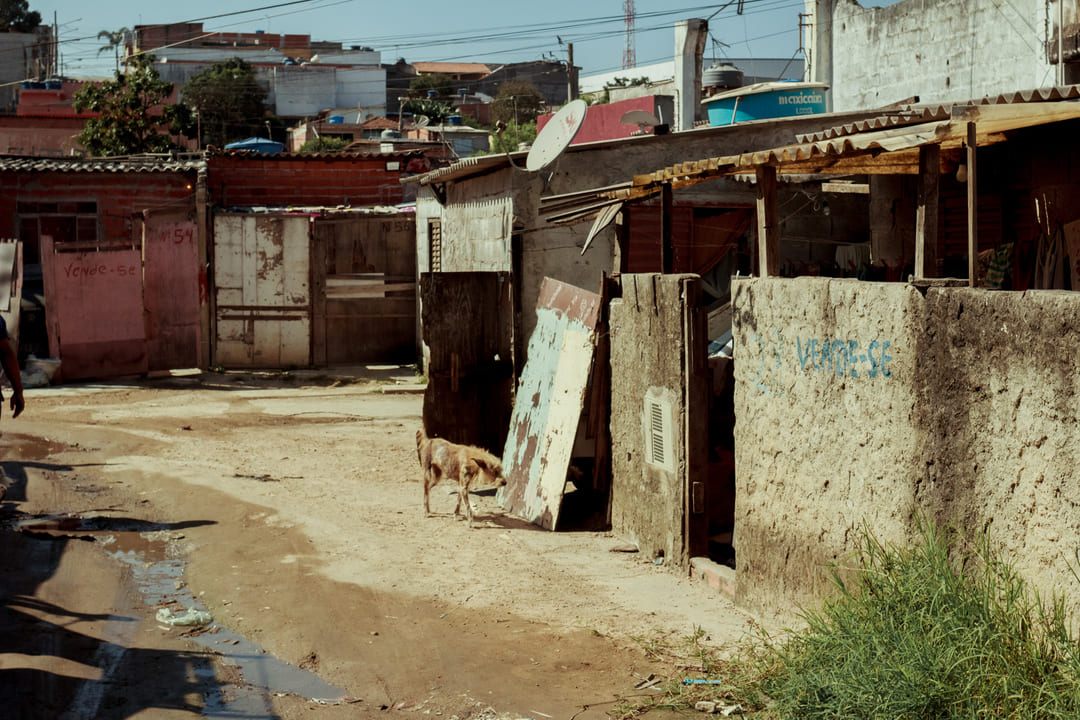 Leia mais sobre o artigo Qual o impacto da ausência de saneamento básico na desnutrição infantil
