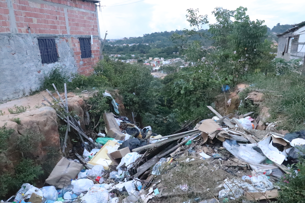 Leia mais sobre o artigo Falta de saneamento básico favorece a proliferação do mosquito da dengue